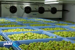 سردخانه دو مداره و تجهیزات سرمایشی مناسب برای سردخانه